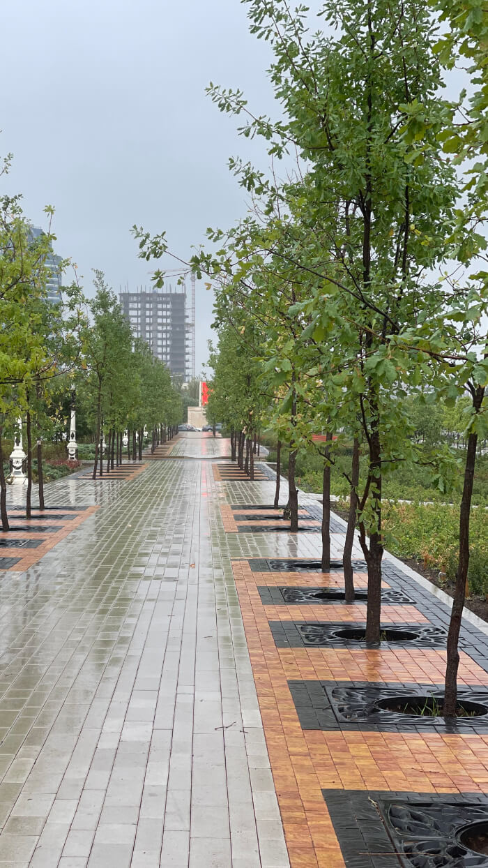 Приствольная решетка для дерева ZKING CRUST 1.2х1.2м Черная в Коломне фото