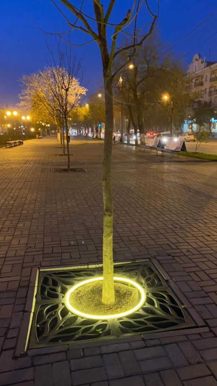 Приствольная решетка для дерева ZKING CRUST 1.2х1.2м Черная в Коломне фото